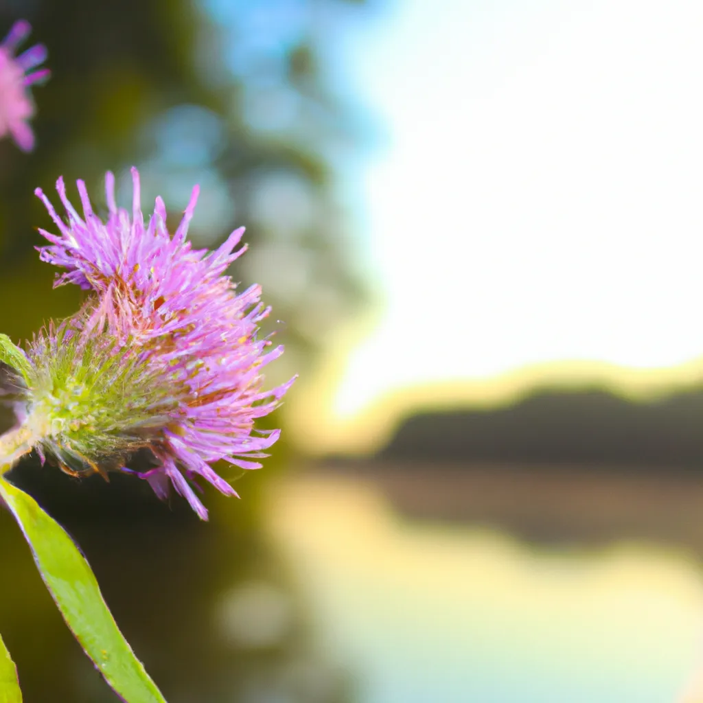 Carpe diem: Filozofia chwili